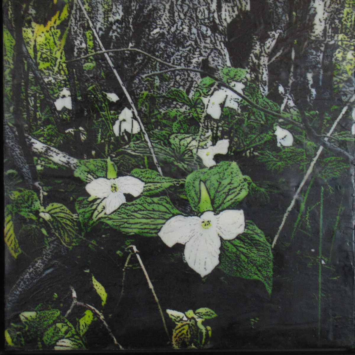 Trillium Bouquet by Carla Benjamin  Image: !8"  x  18"photo encaustic 2024