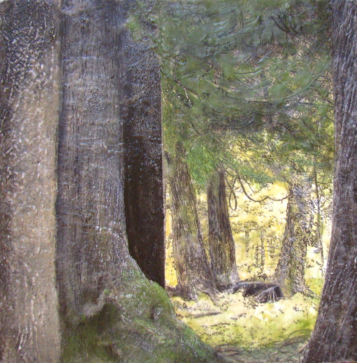Cedar Sanctuary  2020  24" x 24" by Carla Benjamin 