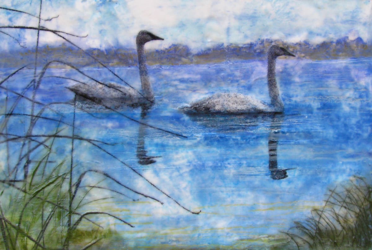 Swans A Swimming, Image 1.