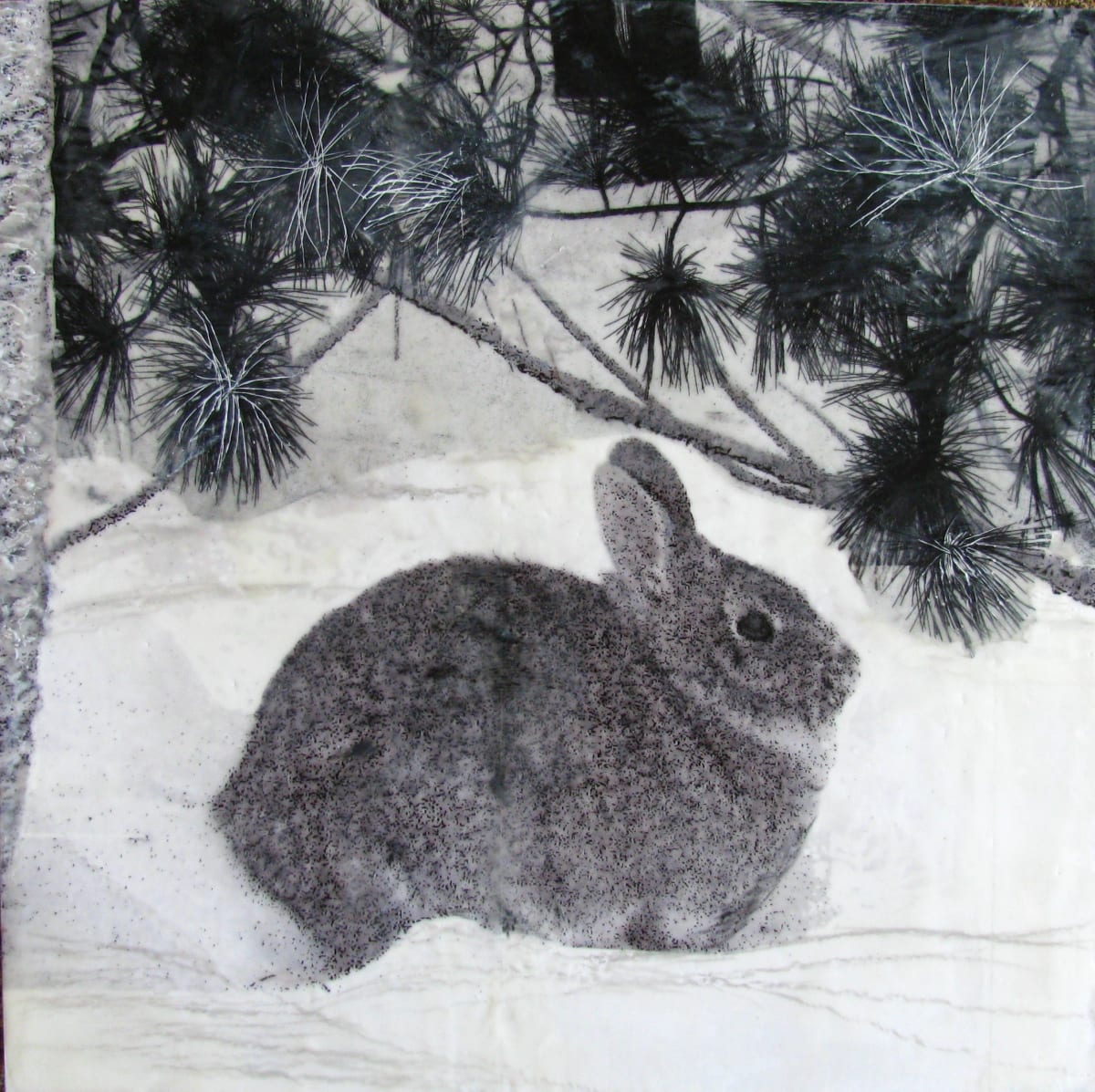 Sheltered: Rabbit Under Pine 