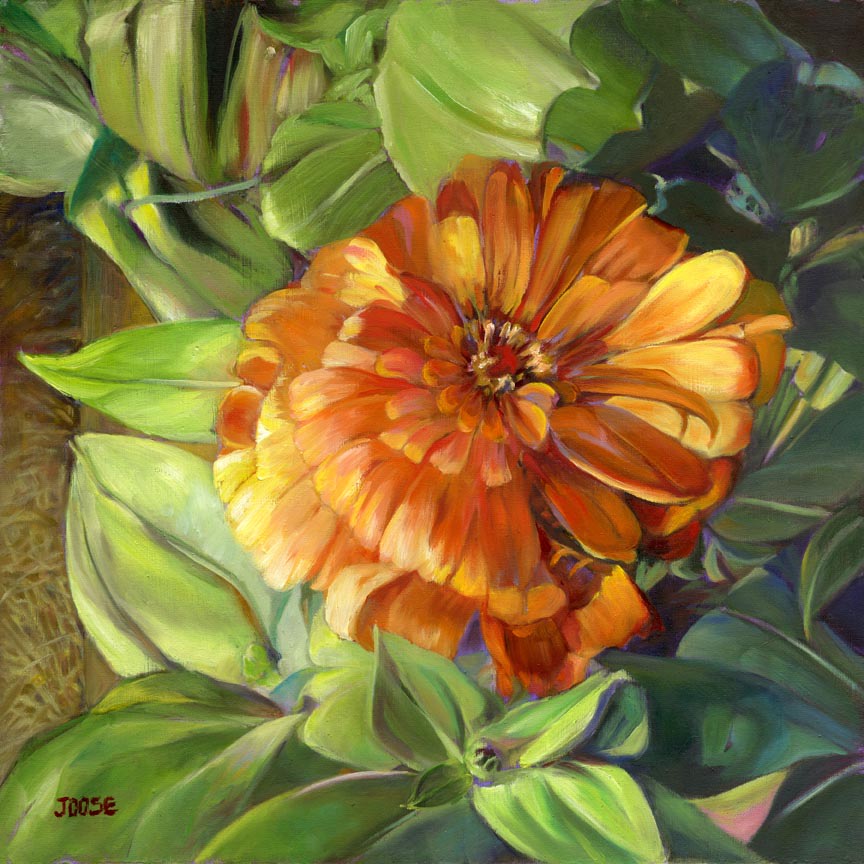 Orange Zinnia by Joose Hadley 
