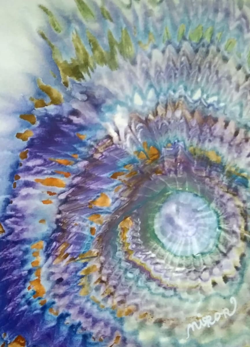 Eye of the Storm 