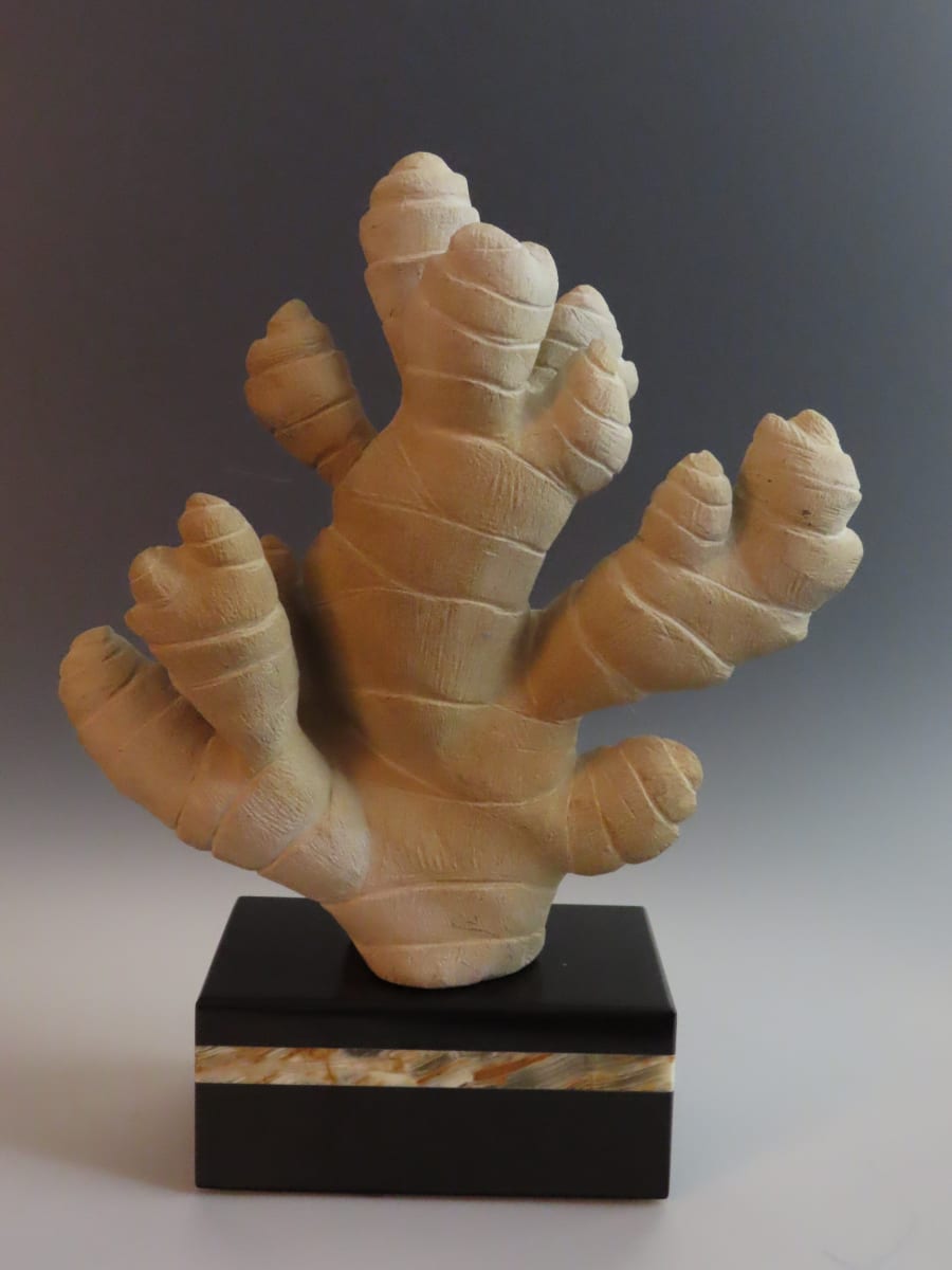 Ginger by Kathryn Vinson 