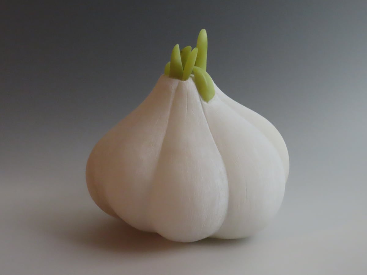 Sprouting Garlic by Kathryn Vinson  Image: Commissioned By Robin E Johnson MD 