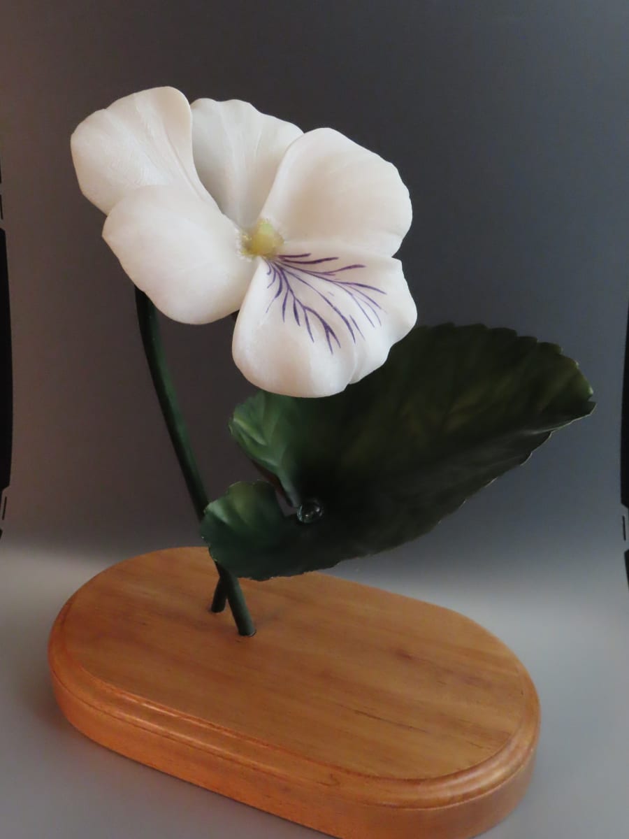 Sweet White Viola by Kathryn Vinson 