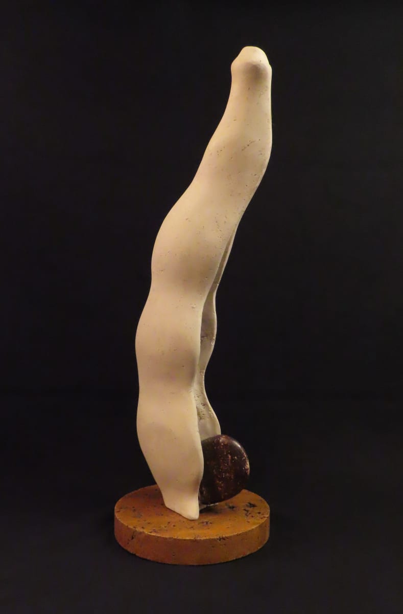 Scarlet Runner Bean by Kathryn Vinson 