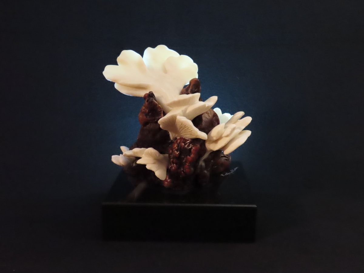 Tropical Mushrooms by Kathryn Vinson 