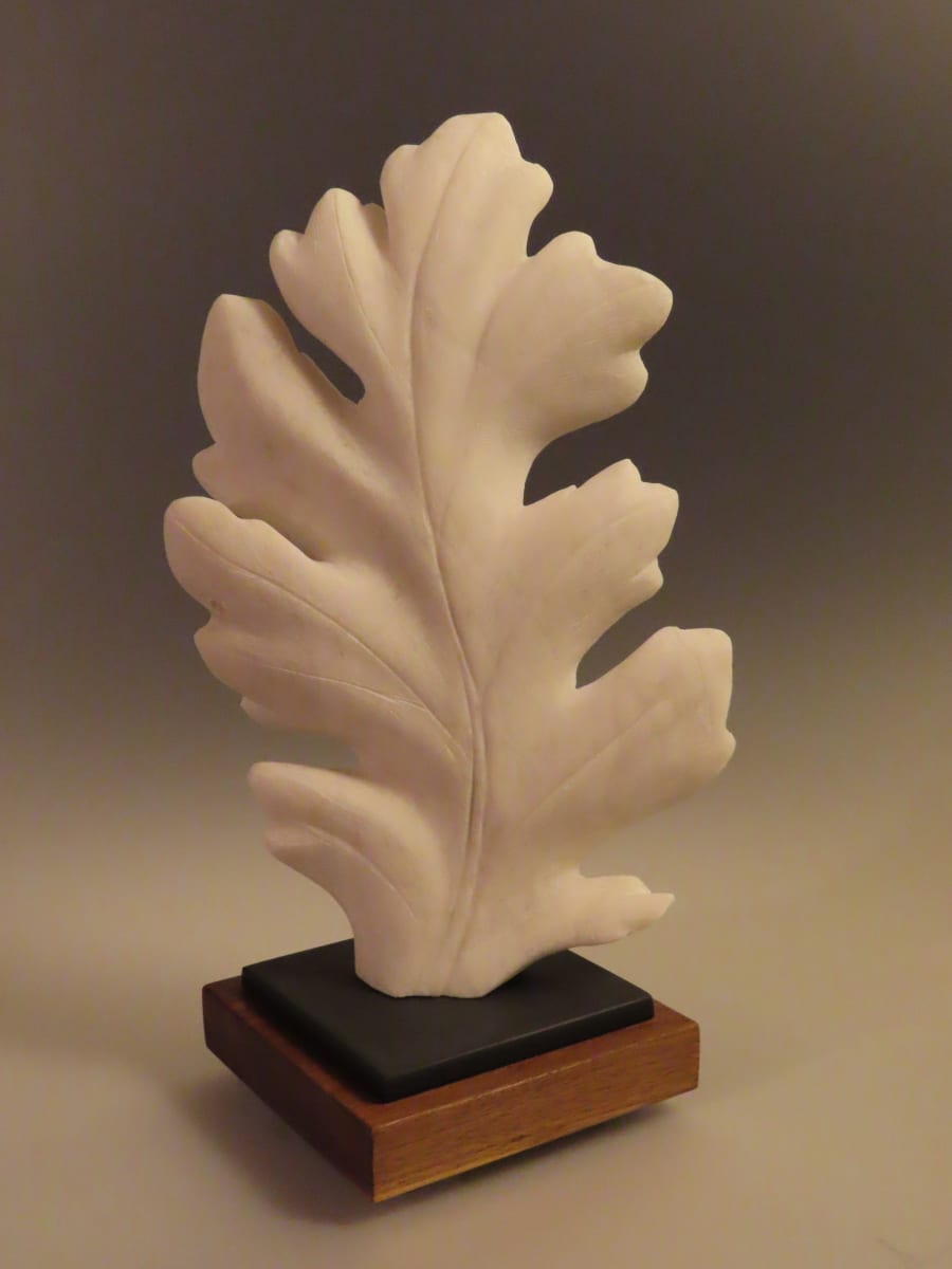 Dusty Miller by Kathryn Vinson, Image 1.