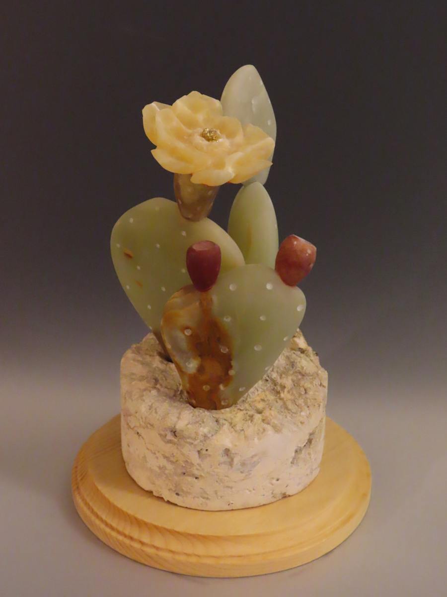 Cactus Flower by Kathryn Vinson 