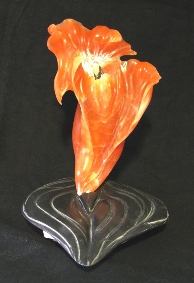 Fire Orchid by Kathryn Vinson 