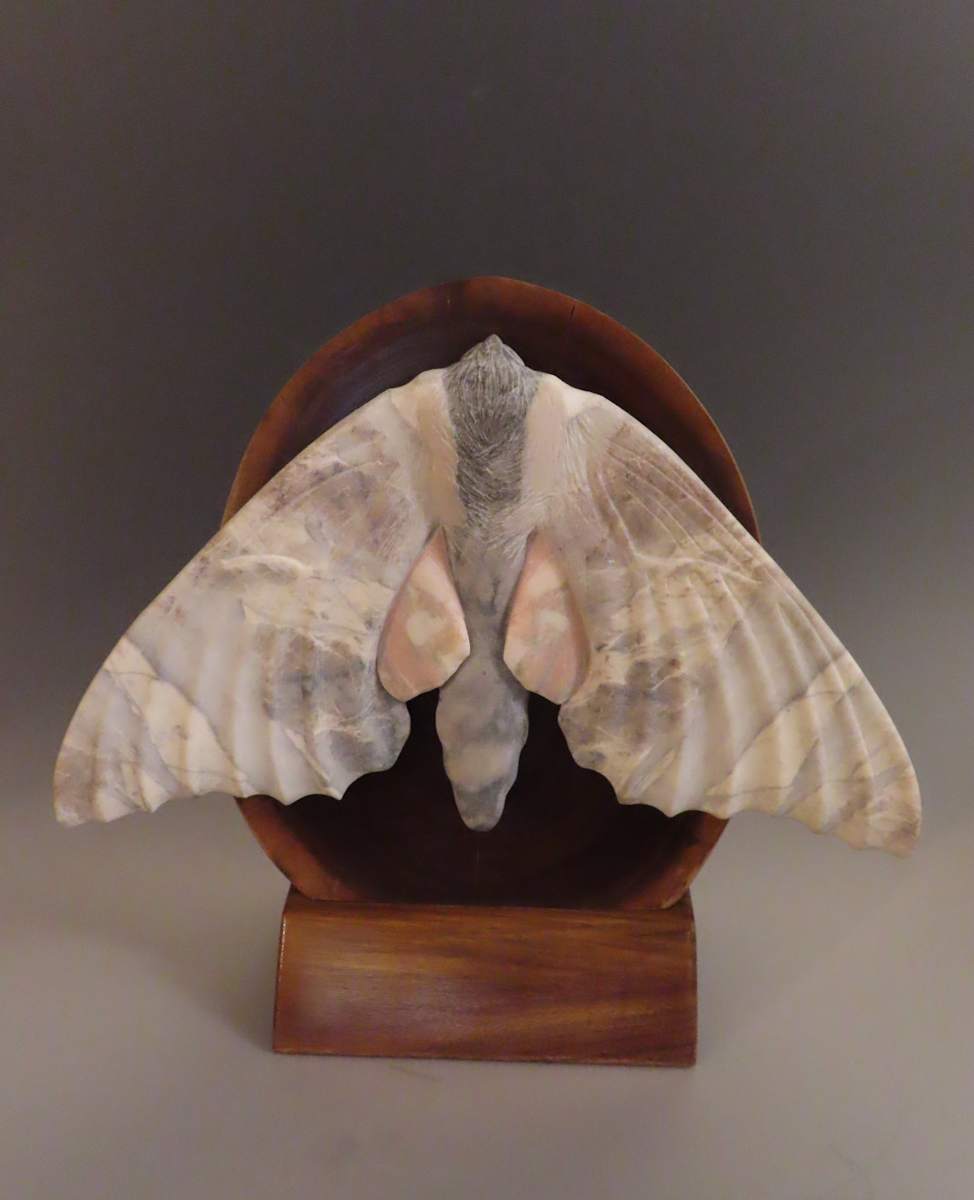 Moth Ascending by Kathryn Vinson 