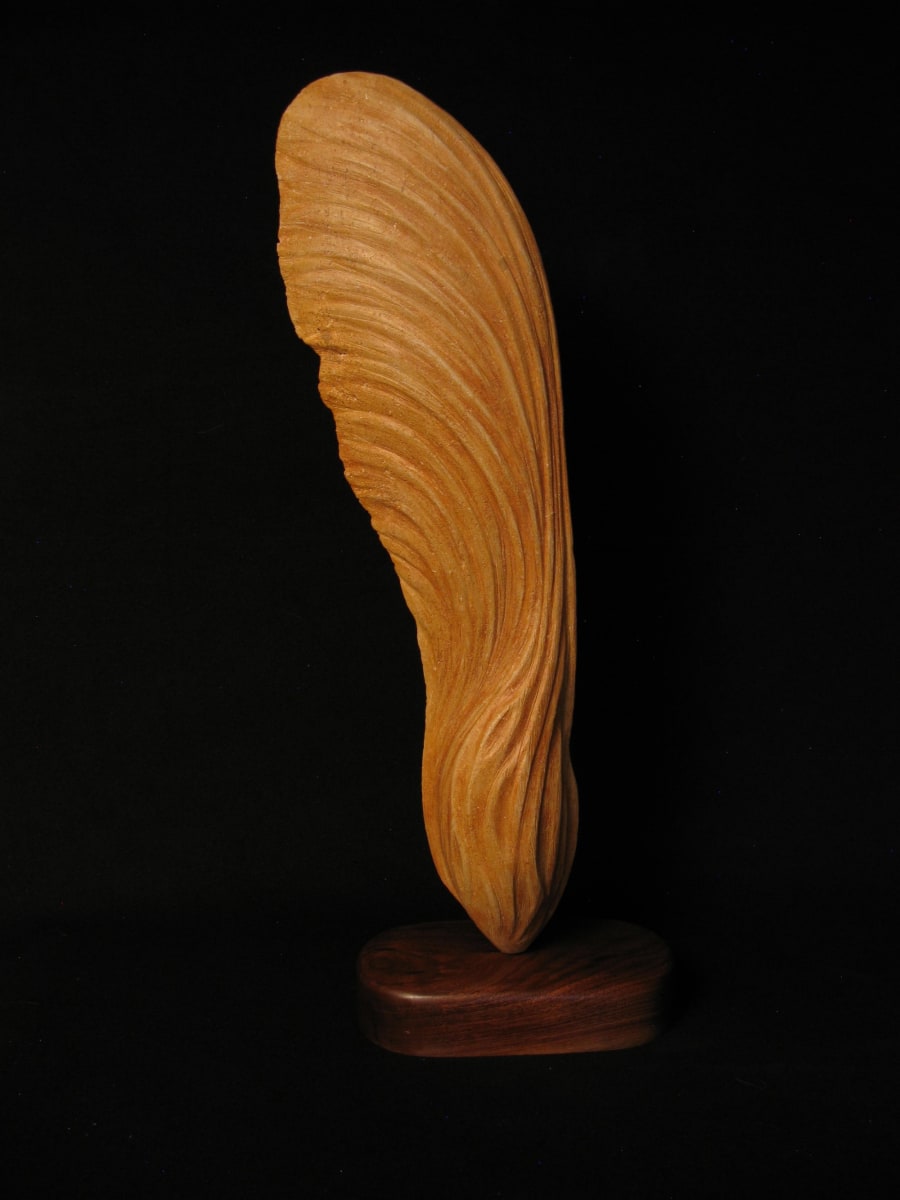 Maple Samara by Kathryn Vinson 