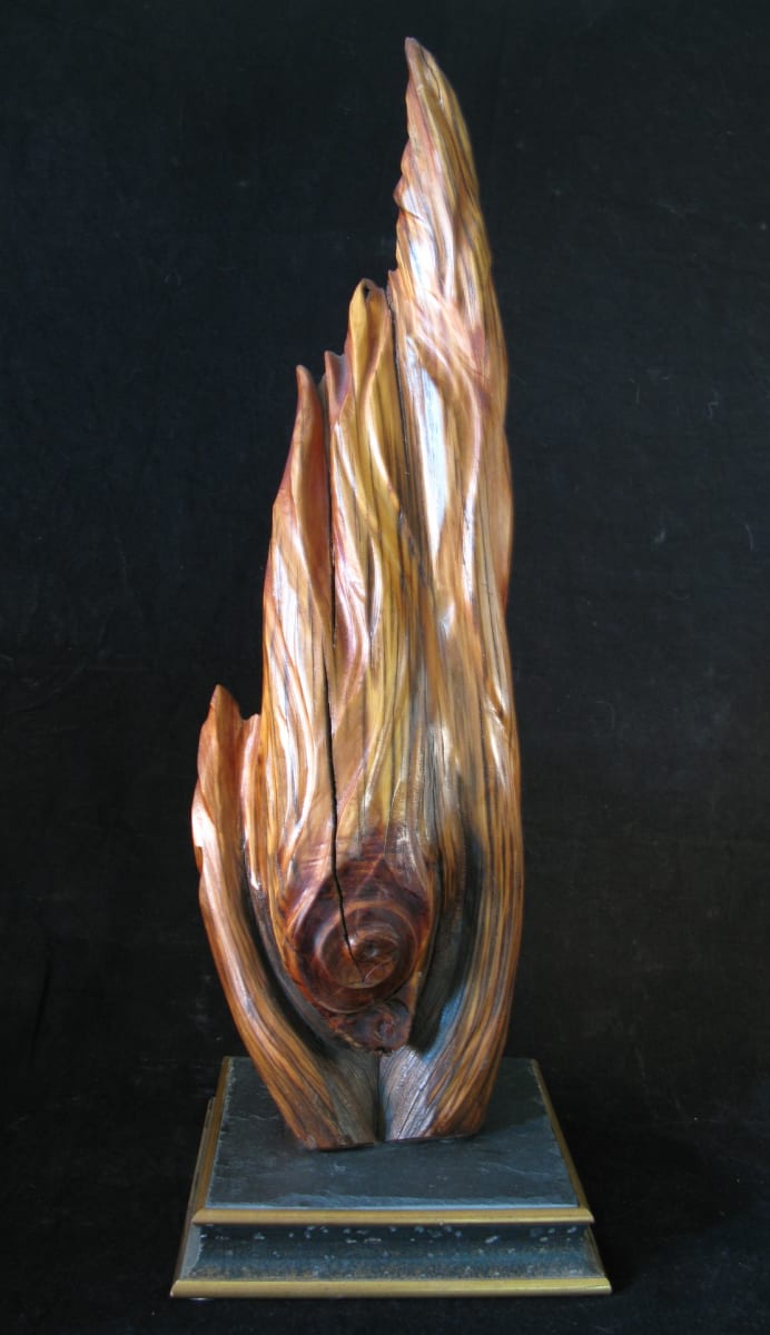 fire wood by Kathryn Vinson 