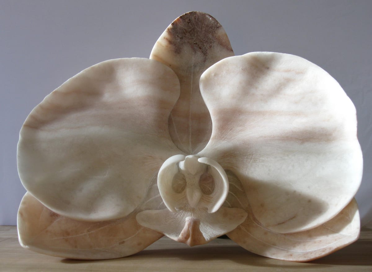 Orchid by Kathryn Vinson, Image 1.