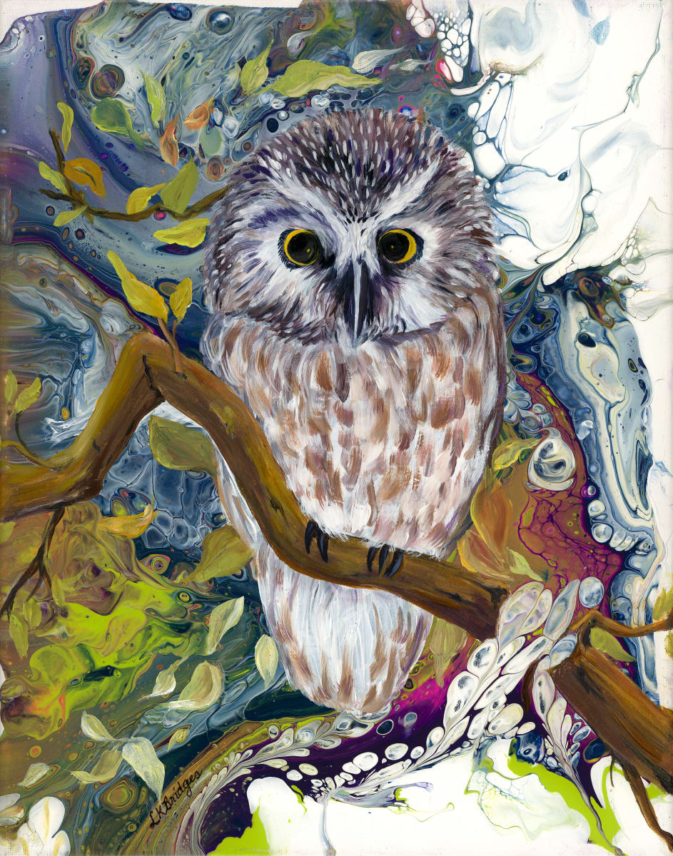Boreal Owl by Linda K Bridges  Image: Little Boreal owl set in an abstract background.