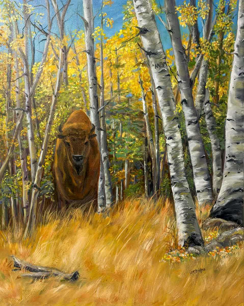 Bison Leaves by Linda K Bridges  Image: Lone bison leaves the autumn-clad forest to graze the tall grasses in the Colorado Rockies. 