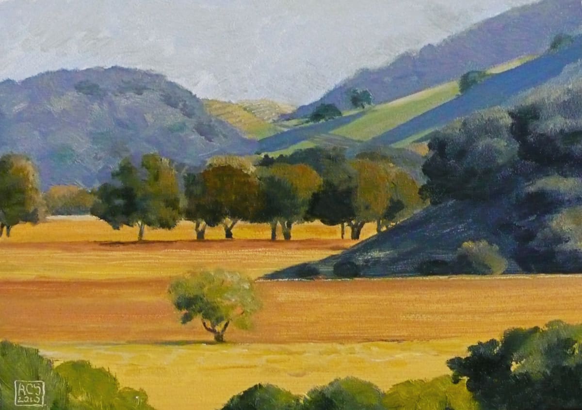 Down Coombsville Road 