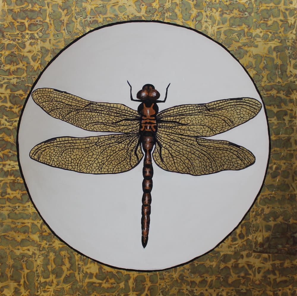 Golden Dragonfly  Image: Golden Dragonfly