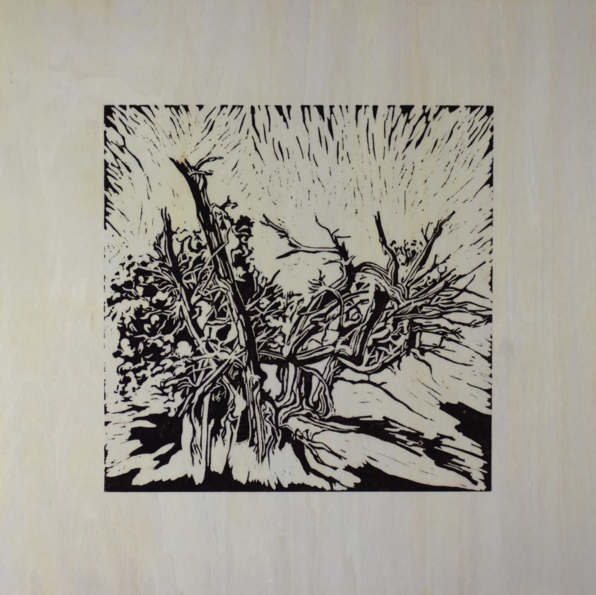 Ancestors at Bangs Canyon I, Image 1.