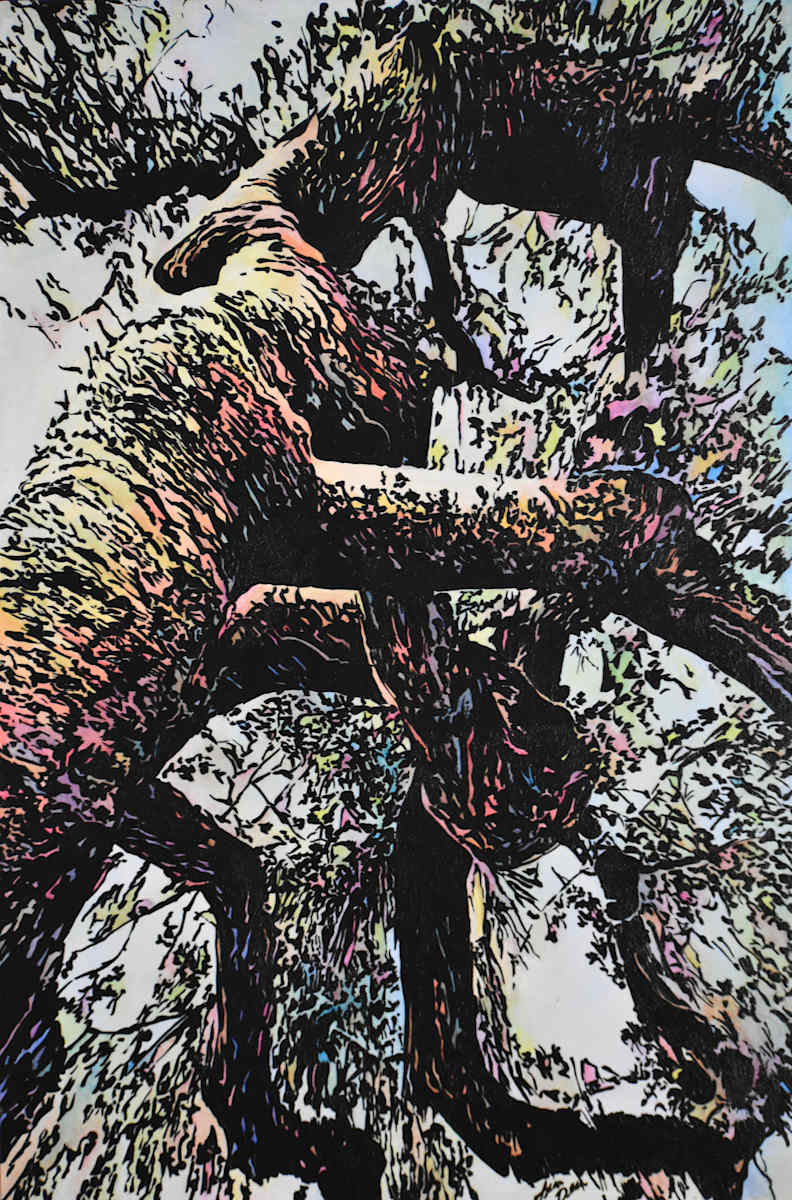 Looking Up by Lisa Wallace Deen, Image 1.