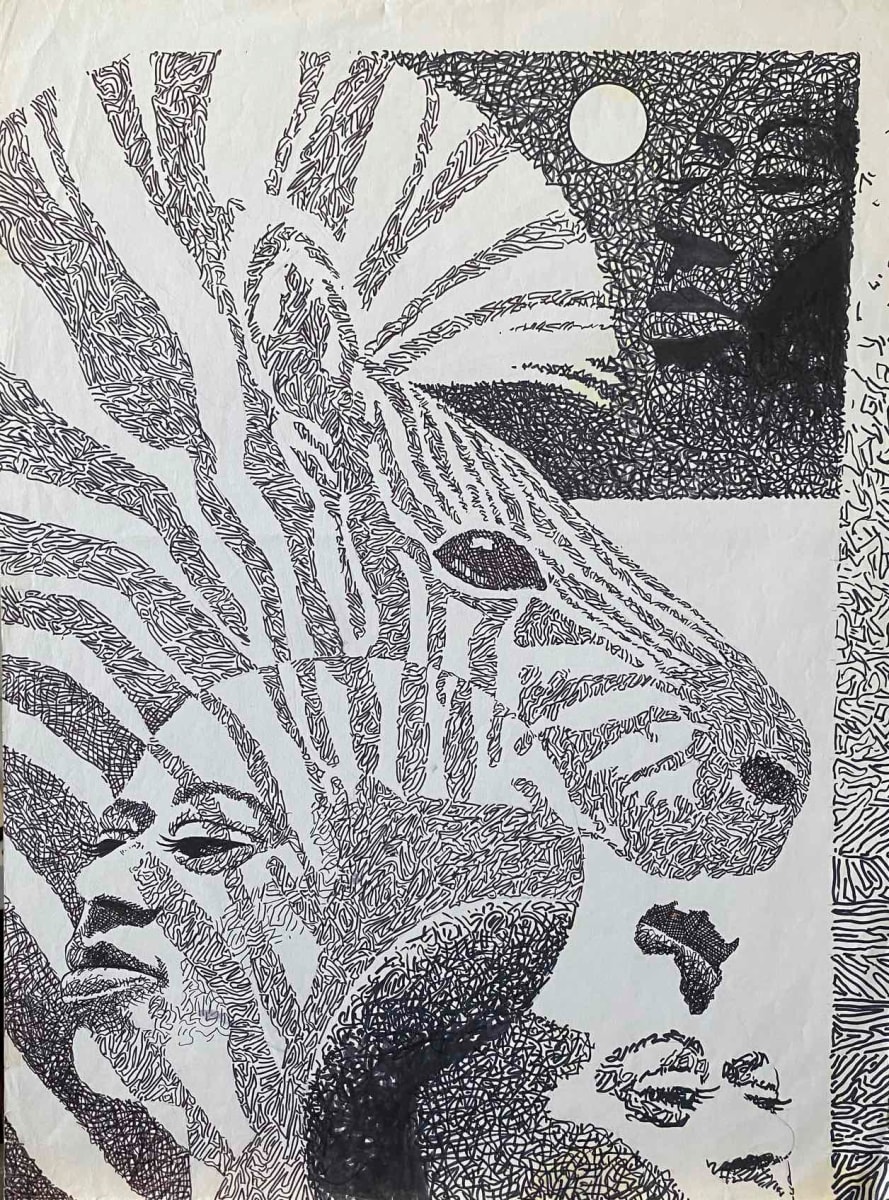 Zebra Drawing by Walt Wali Neil 