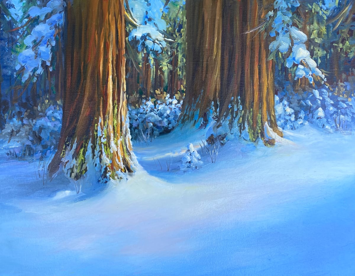 Redwoods in Snow 