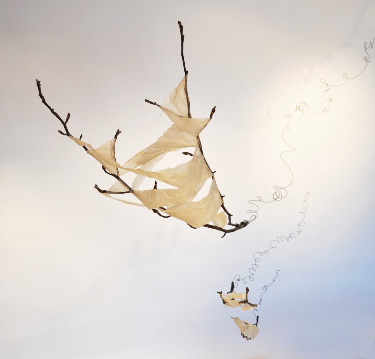 Cloud Sailor by Suzie Buchholz 