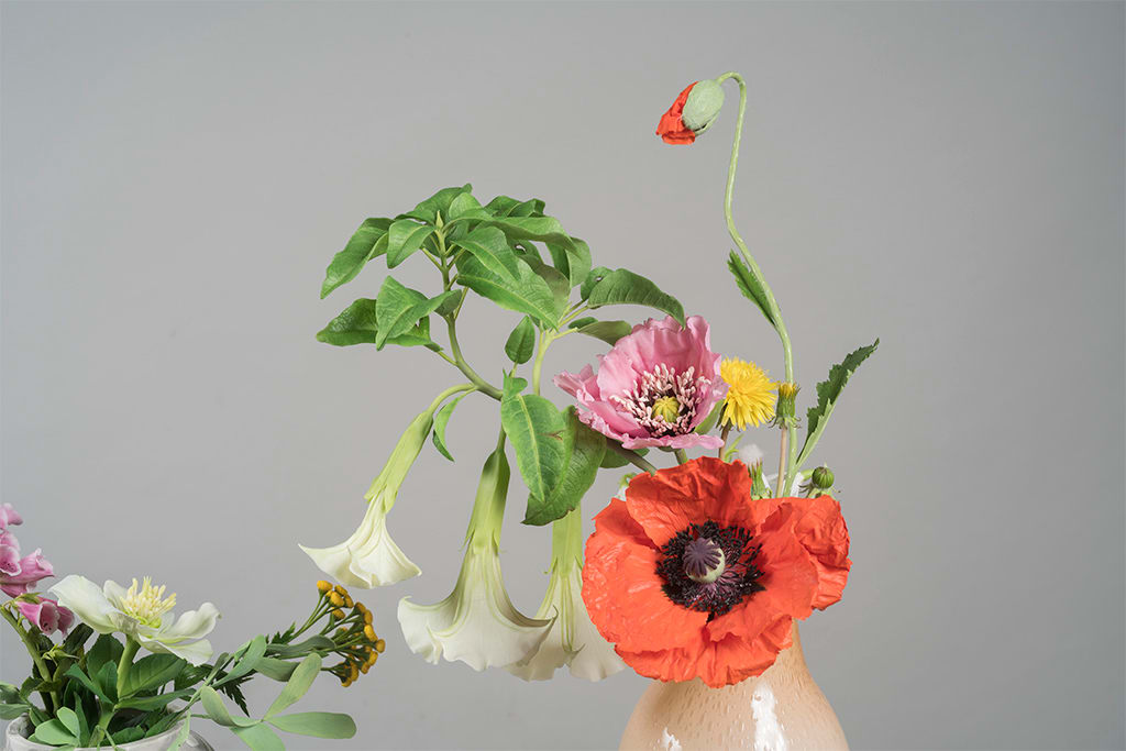 Daughter of the Sun (Circe's Garden) 