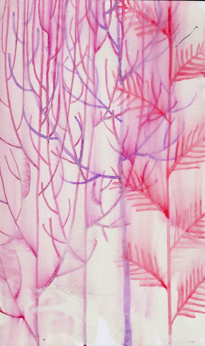 Pink Pines — Study 