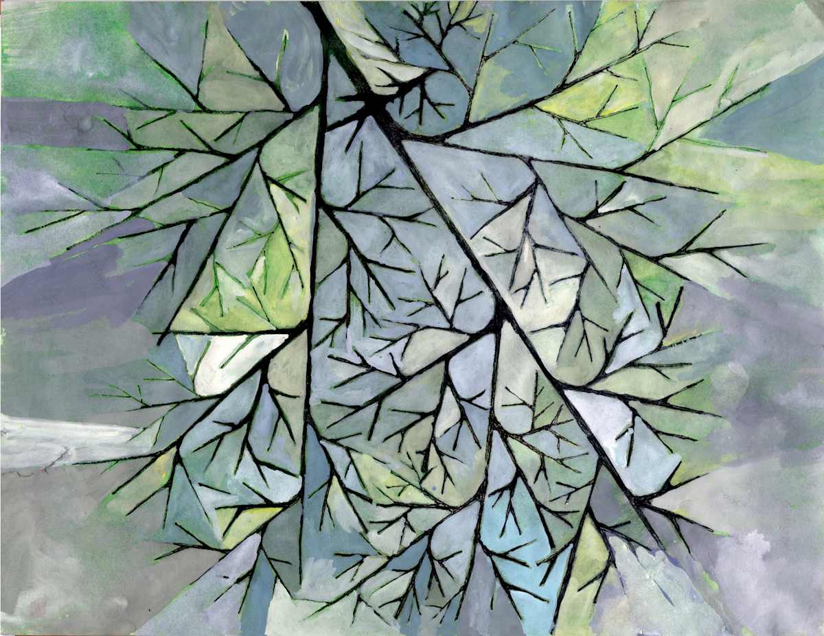 Bog — Study, Image 1.