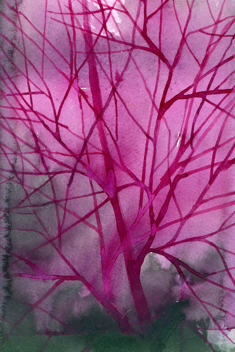 Dark Pink Tree — Study, Image 1.