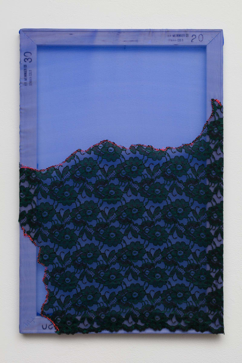 Blue Shadow I by Sarah Darlene Palmeri 