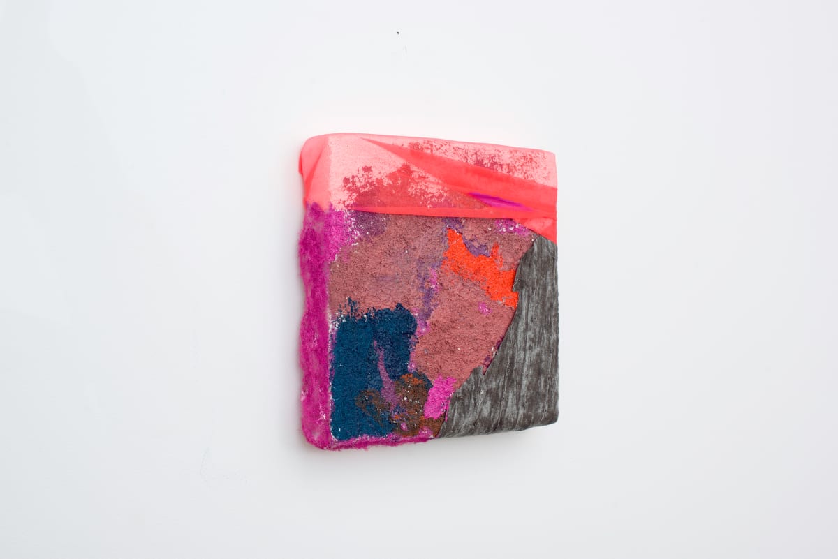 Disintegrate by Sarah Darlene Palmeri 