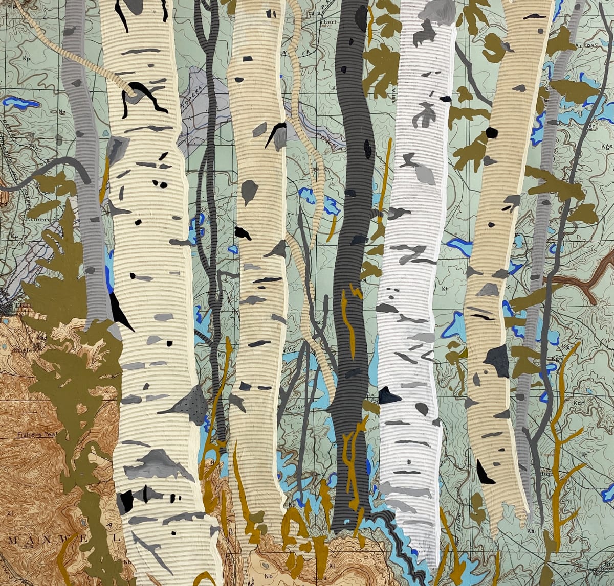 Aspen Map Two by Meredith Nemirov 