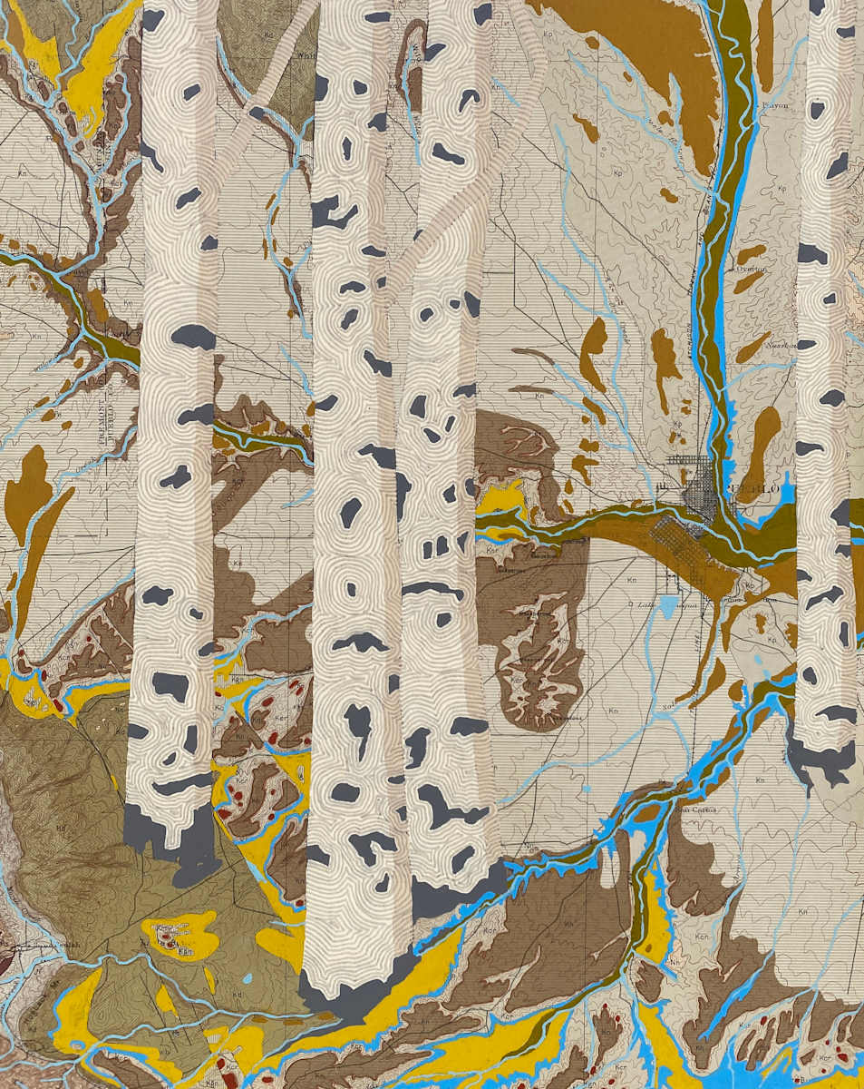 Arkansas & St. Charles Rivers #3 by Meredith Nemirov 