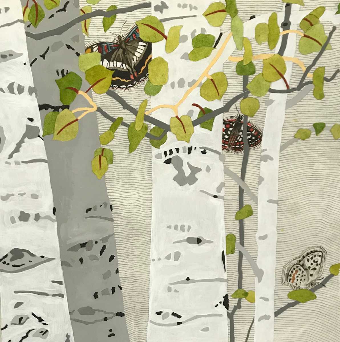 A Glimpse of Butterflies by Meredith Nemirov 