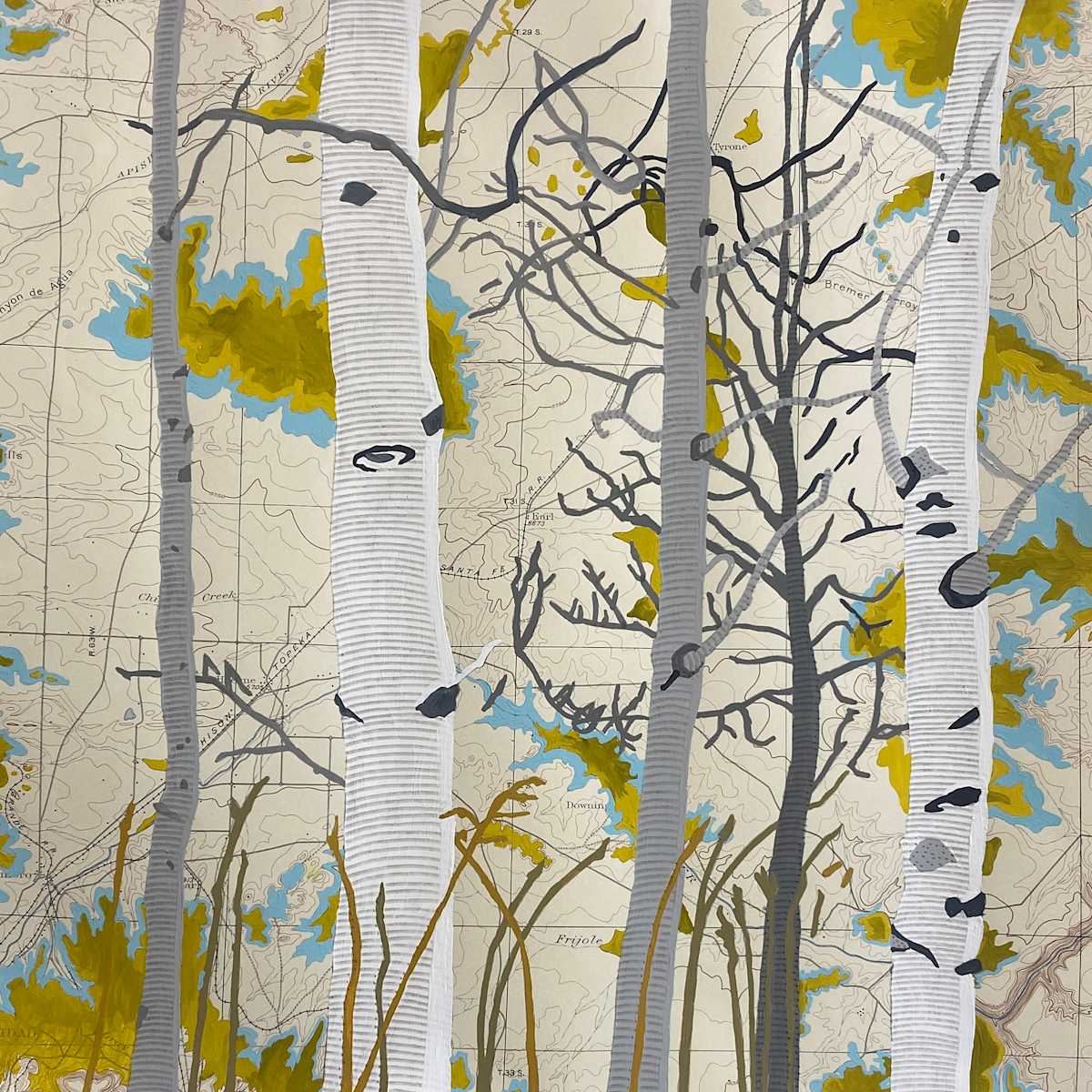 Aspen Map One by Meredith Nemirov, Image 1.