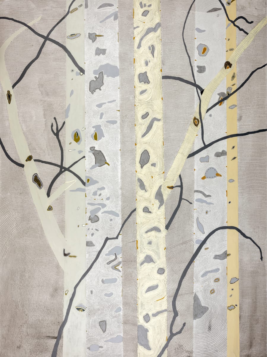 Aspens in Winter 