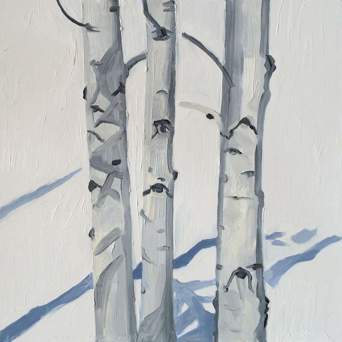 Aspens Out my Window 