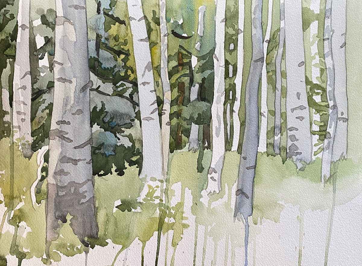Early Morning Forest by Meredith Nemirov 