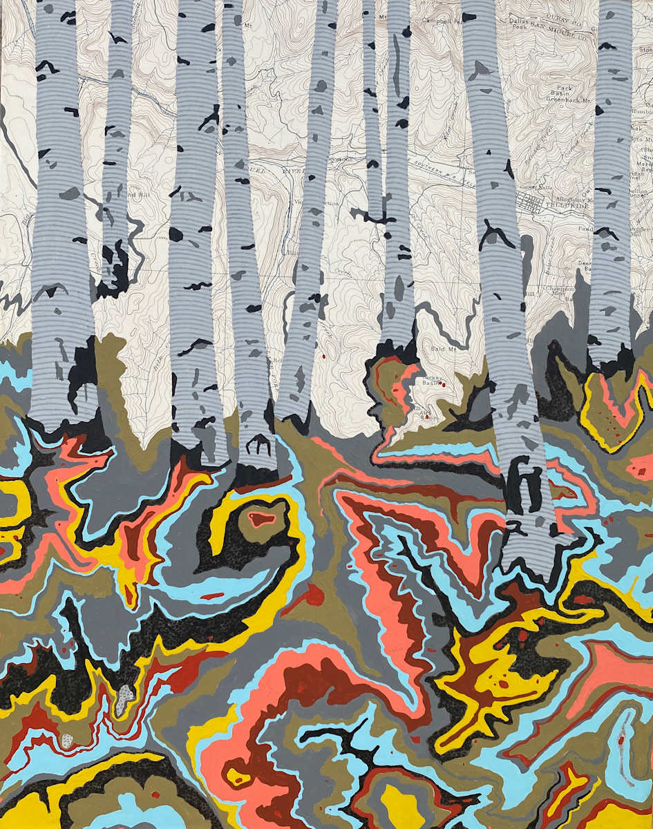 Telluride (EyeDazzler) by Meredith Nemirov 