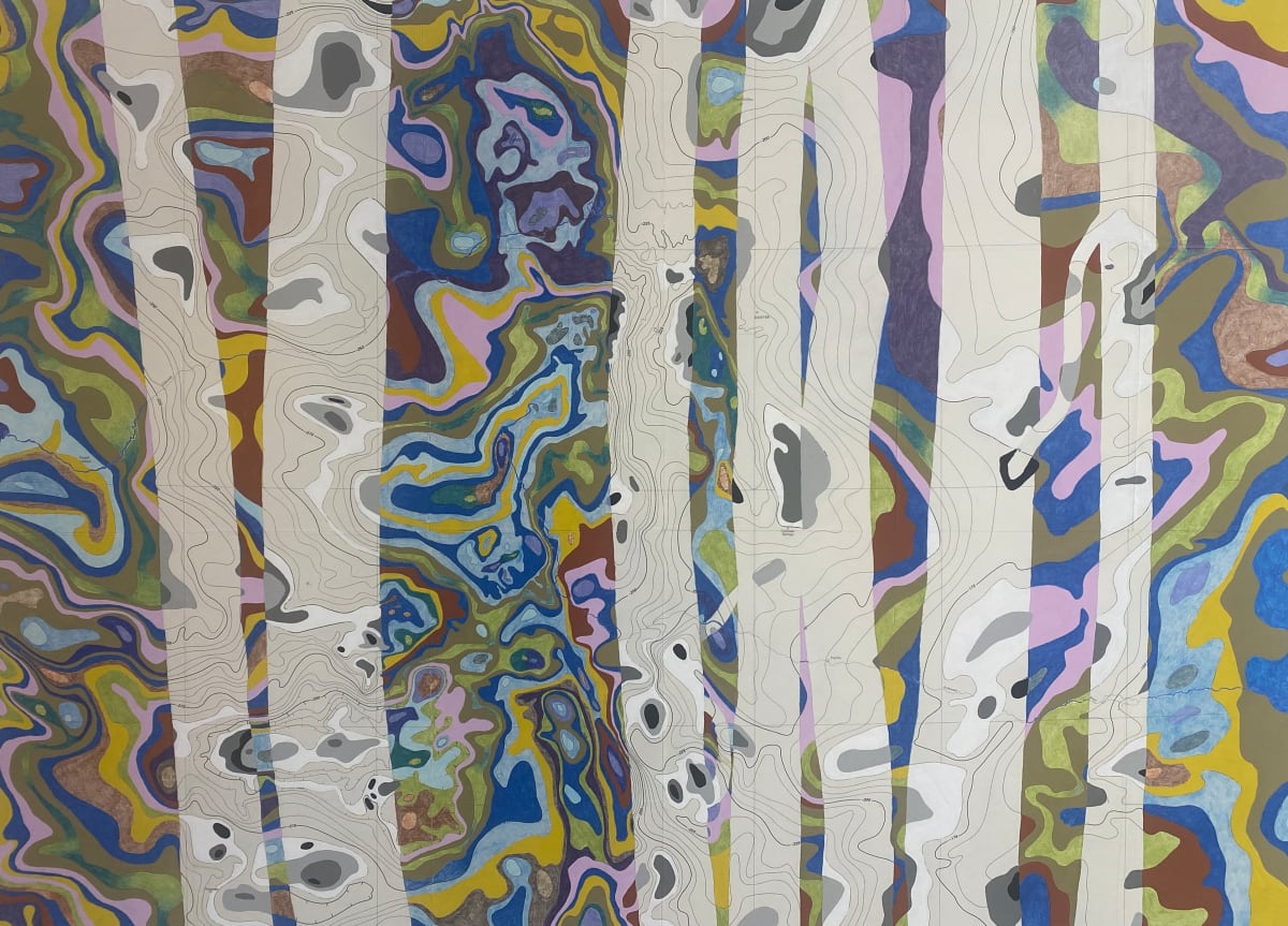 Gravity Map by Meredith Nemirov, Image 1.