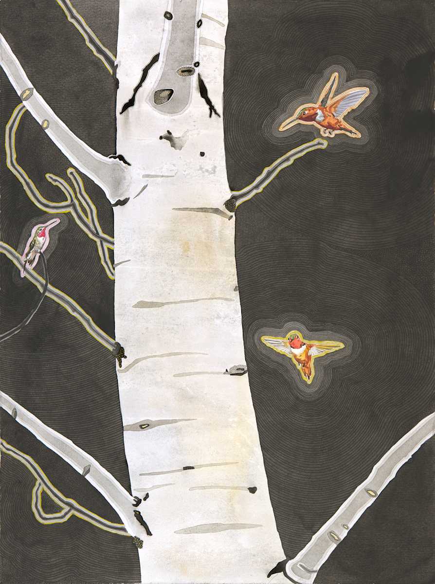 Hummingingbird Tree 