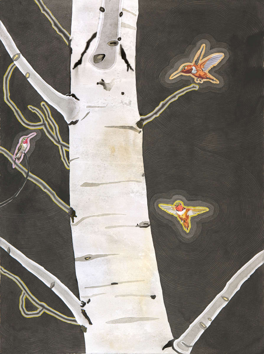 Hummingingbird Tree, Image 1.