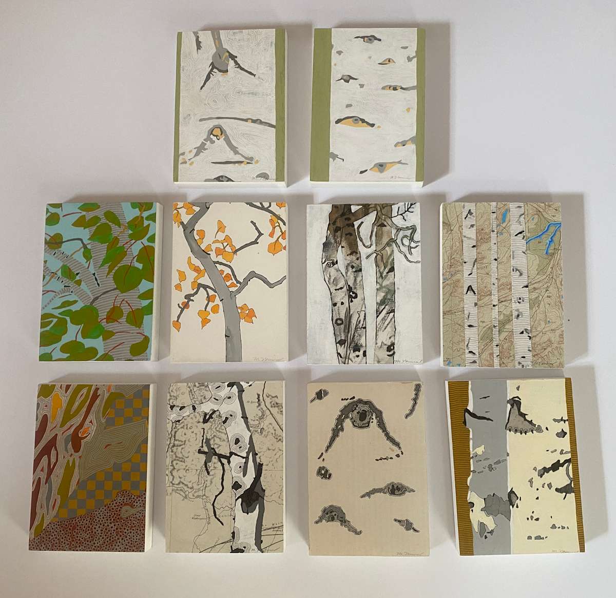 Glimpses of the Aspen Tree by Meredith Nemirov 