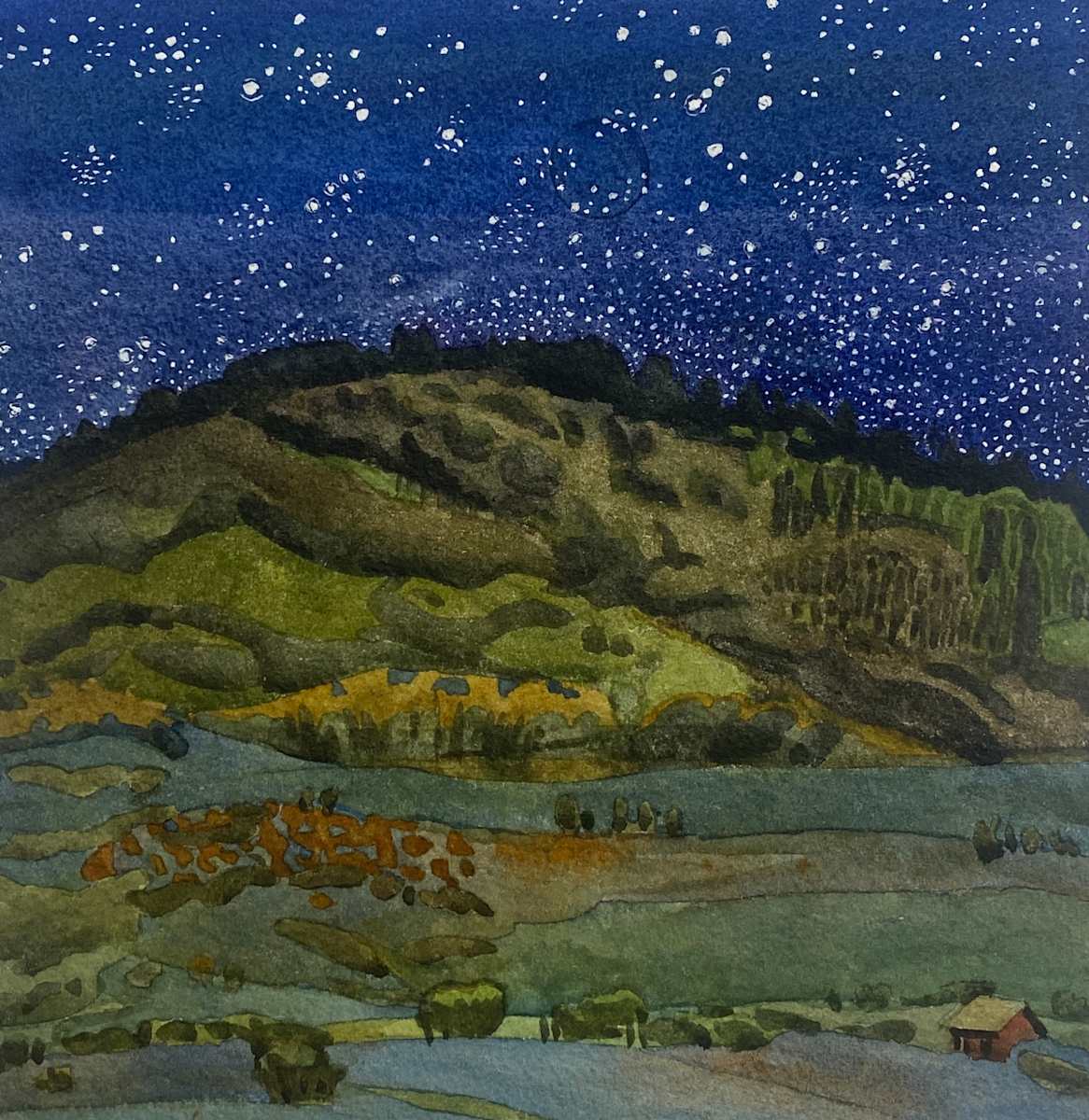 NEW MOON by Meredith Nemirov 