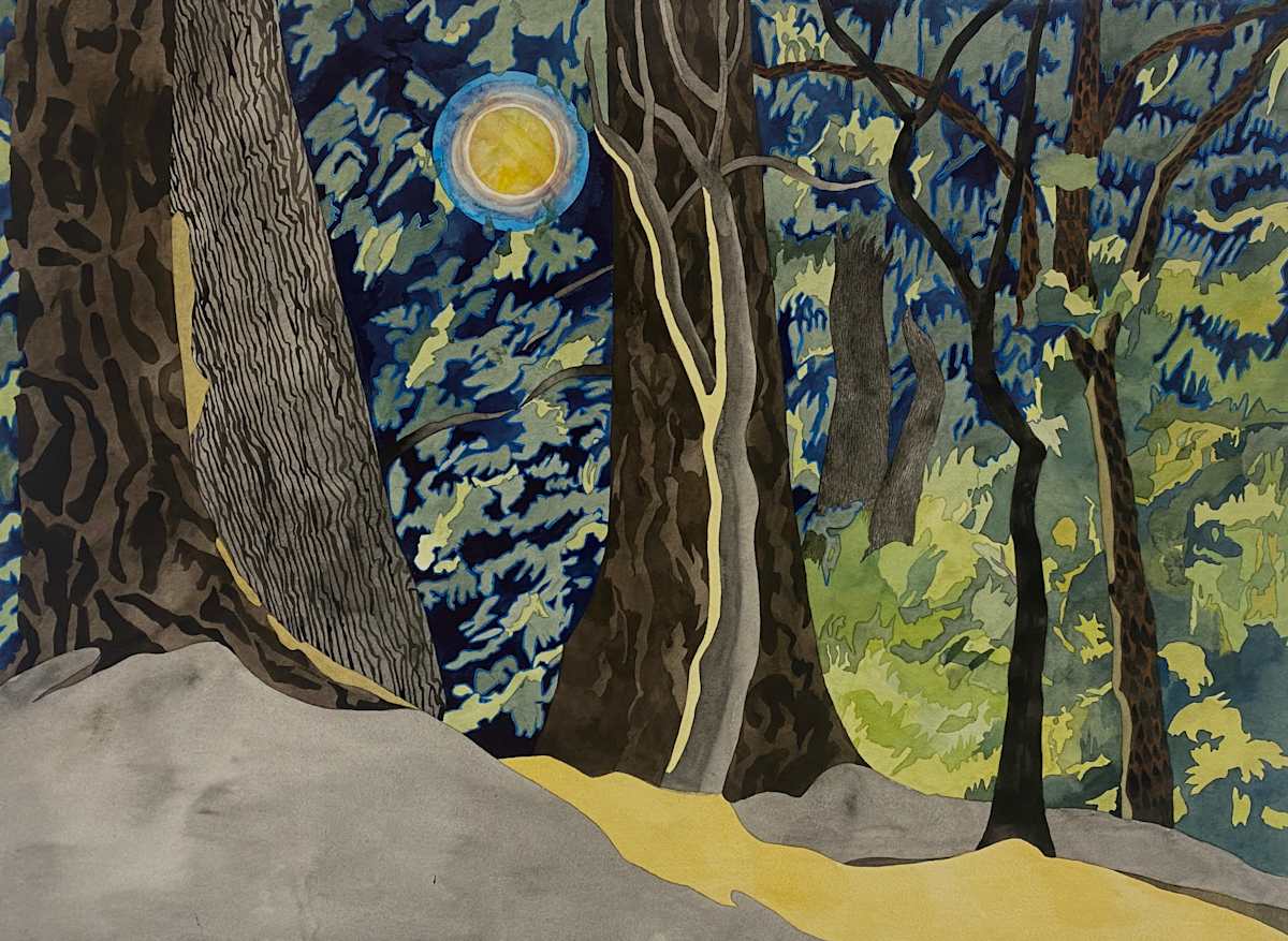 The Halo Moon by Meredith Nemirov 