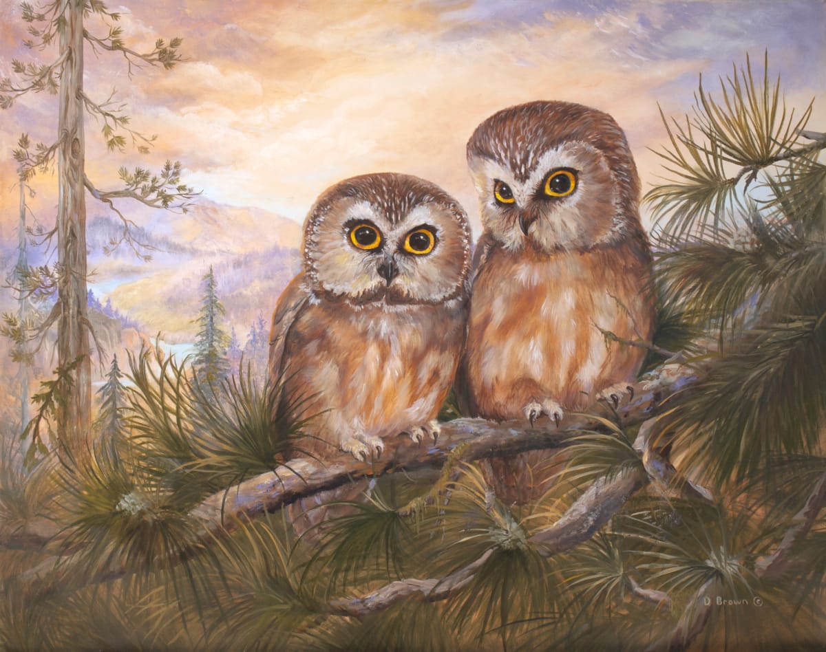 Hoo's looking at who 