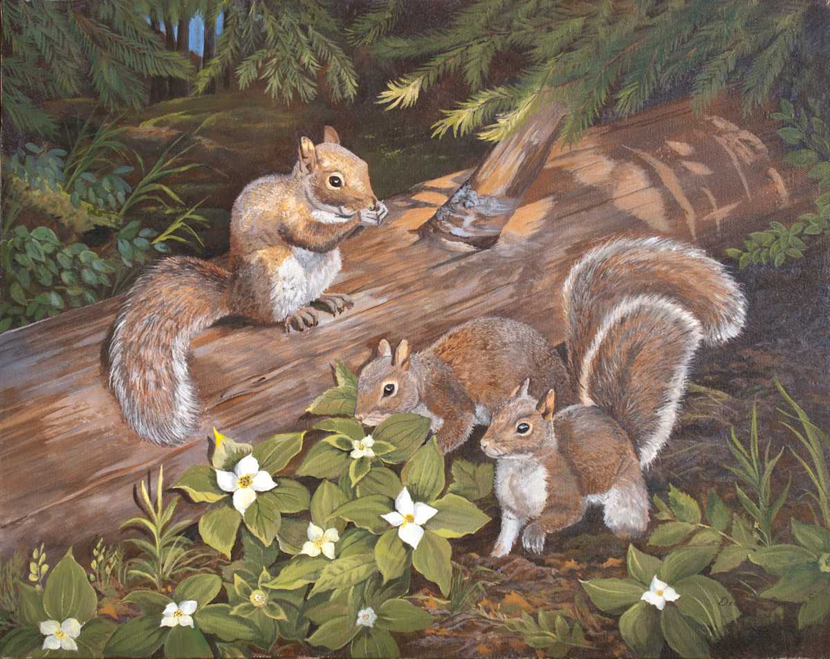Spring Siblings, Image 1.