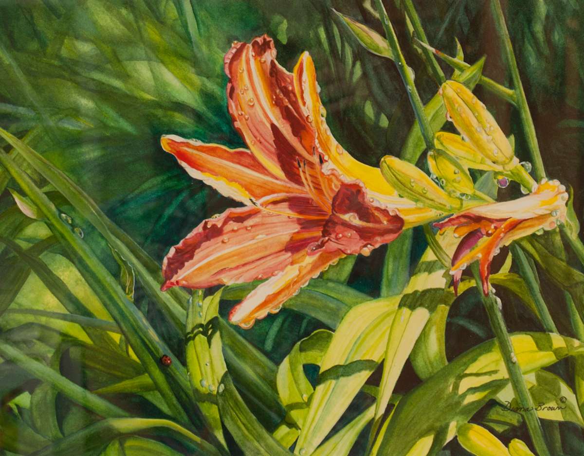 The Lily and the Ladybug, Image 1.